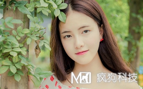 2017年網(wǎng)站推廣的20個(gè)方法策略？