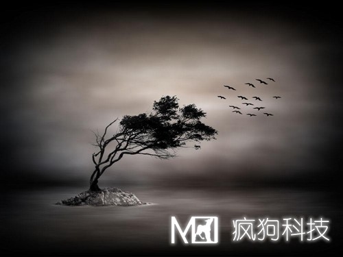 基于百度新算法下要如何做內容優(yōu)化