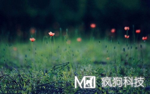 如何提高網(wǎng)站粘度，增加網(wǎng)站回頭客？